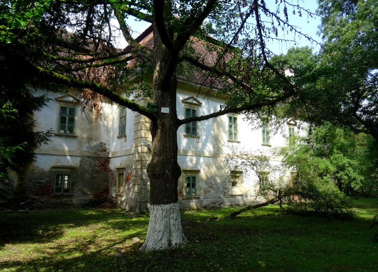Görgény Fortress, Gurghiu, Romania, Romania